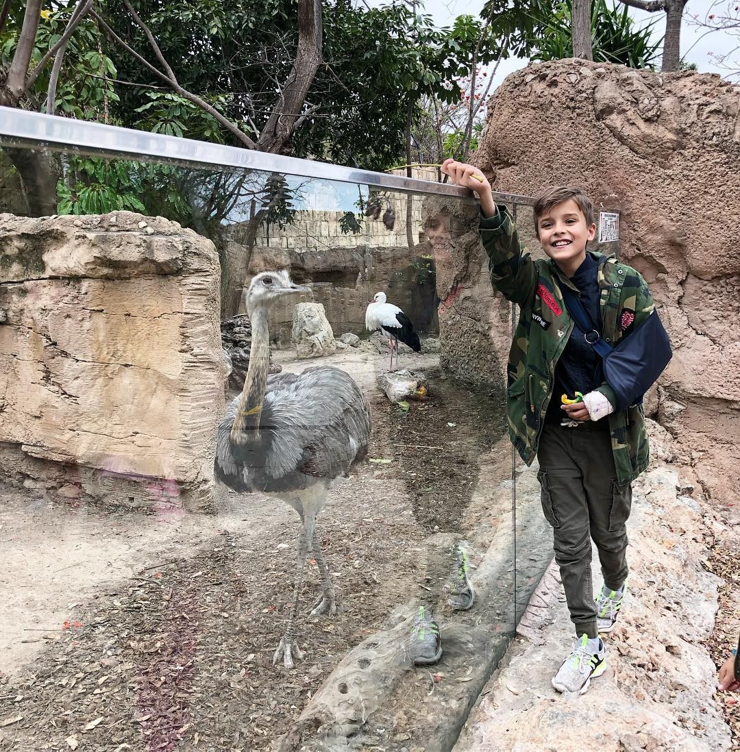 Anka`s Instagram. Заставка