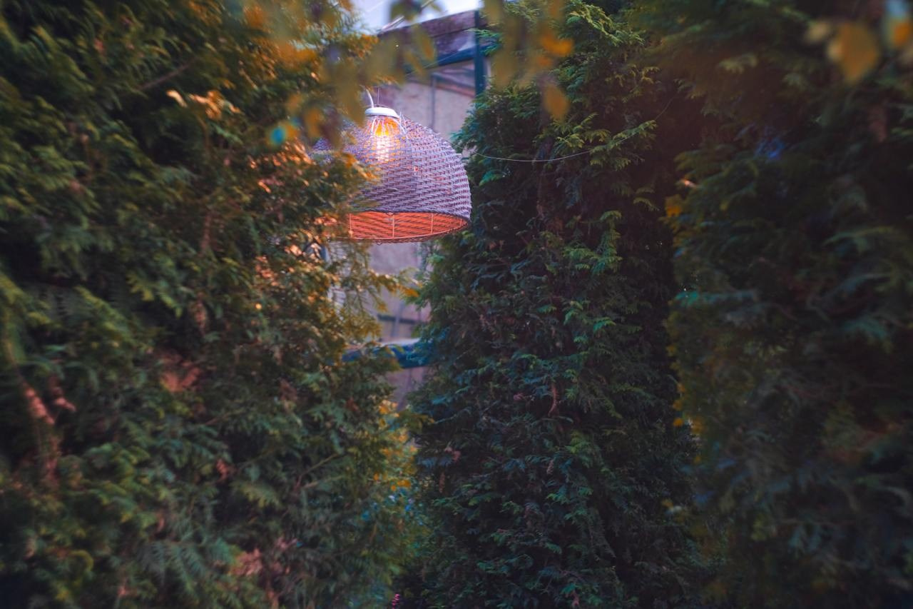 Аптекарский огород. Софа Катастрофа, Одичание. фотохудожница, креативный продюсер, автор. Nude, eros, портретный фотограф