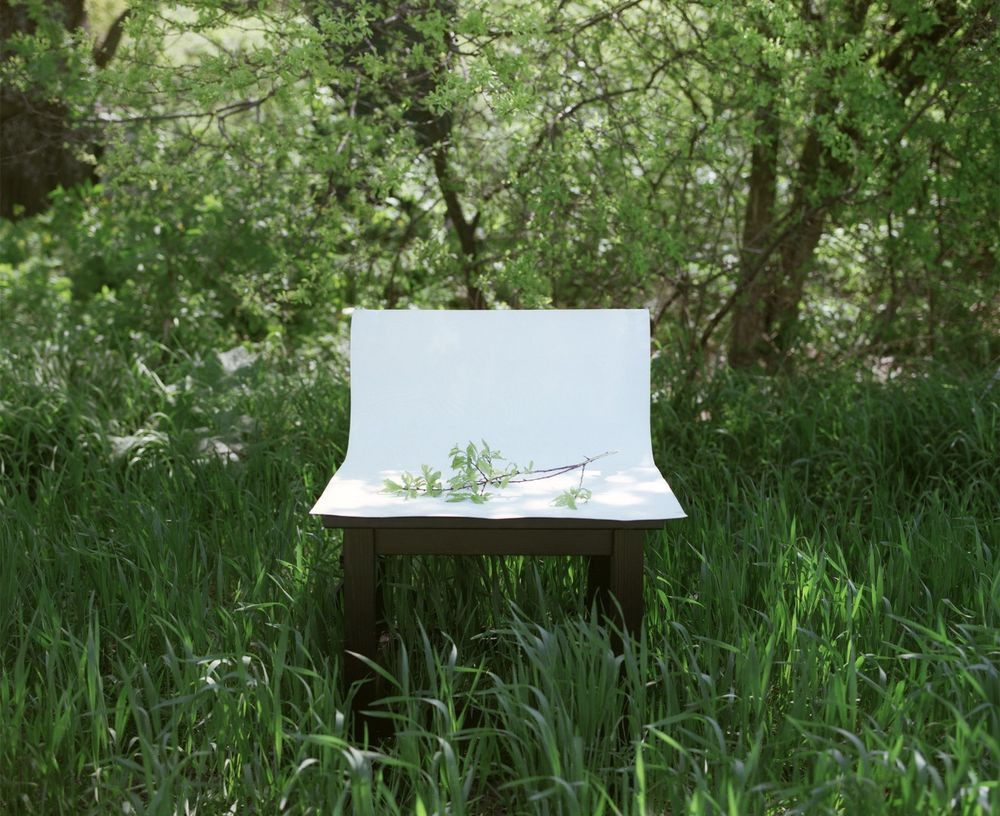 Урок «Гербарий» Пакет