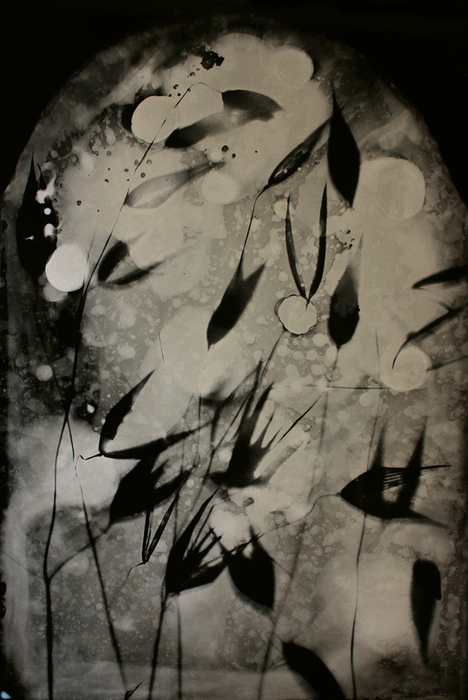 Урок «Гербарий» Пакет