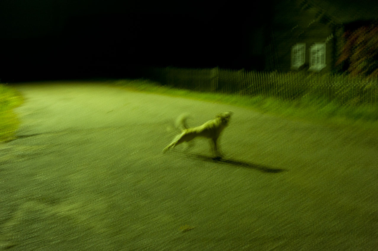 Урок «Гербарий» Пакет