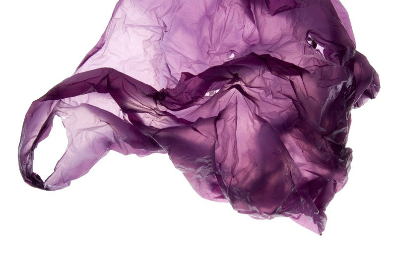 Урок «Гербарий» Пакет