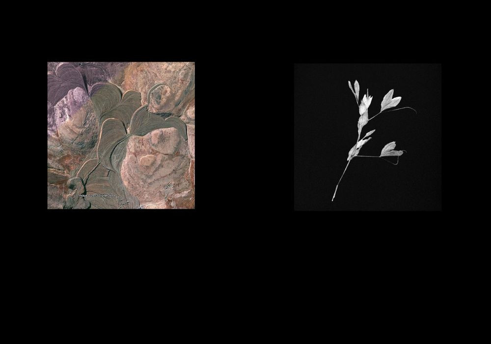 Урок «Гербарий» Пакет