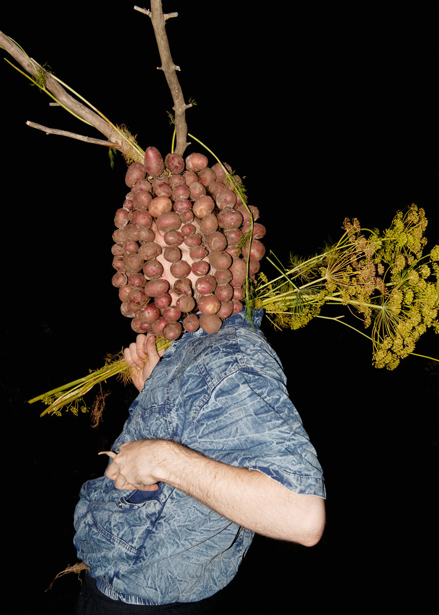 Урок «Гербарий» Пакет