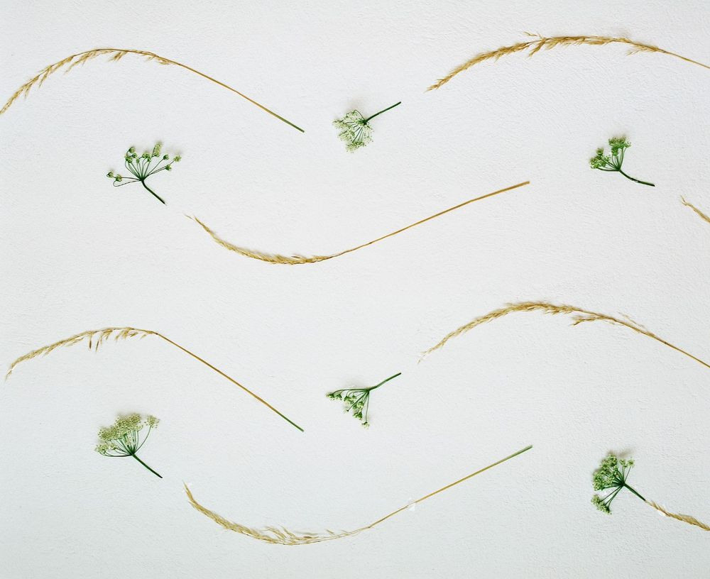 Урок «Гербарий» Пакет