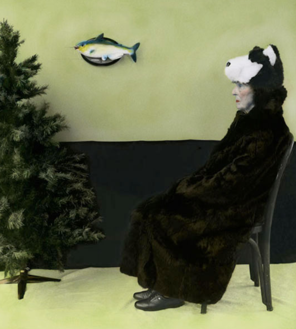 Урок «Гербарий» Пакет