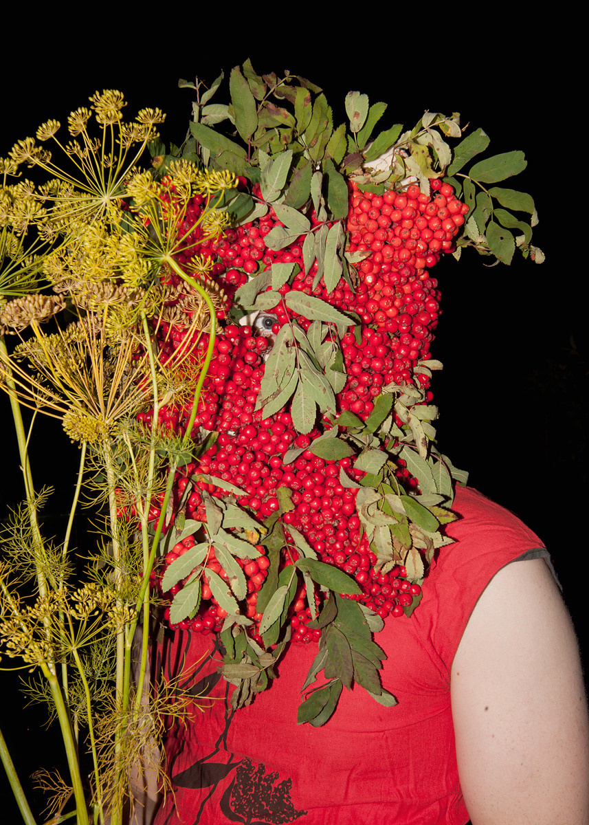 Урок «Гербарий» Пакет