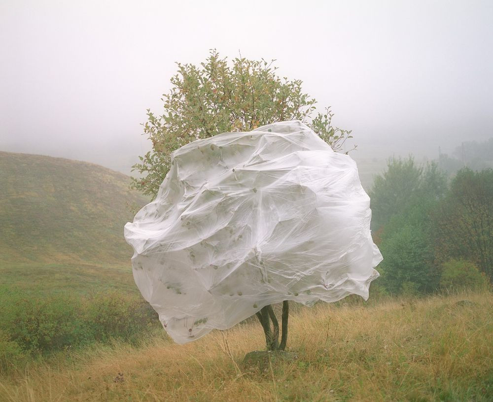 Урок «Гербарий» Пакет