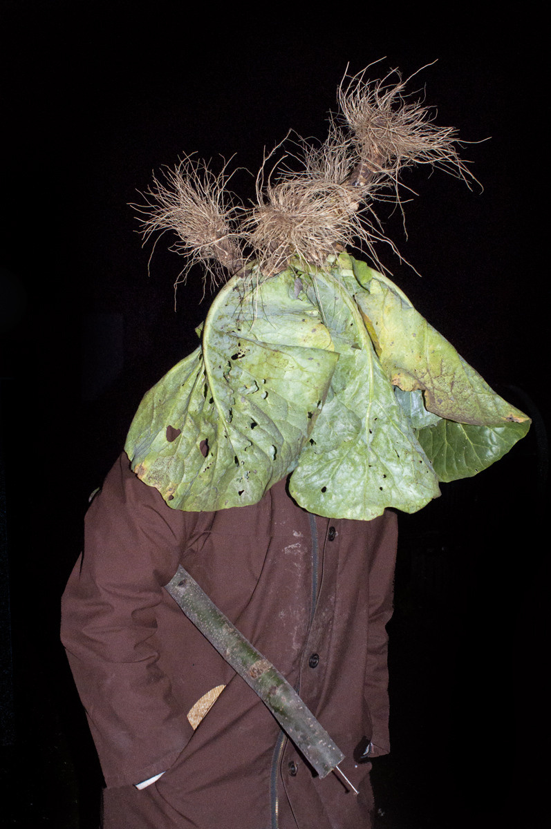 Урок «Гербарий» Пакет