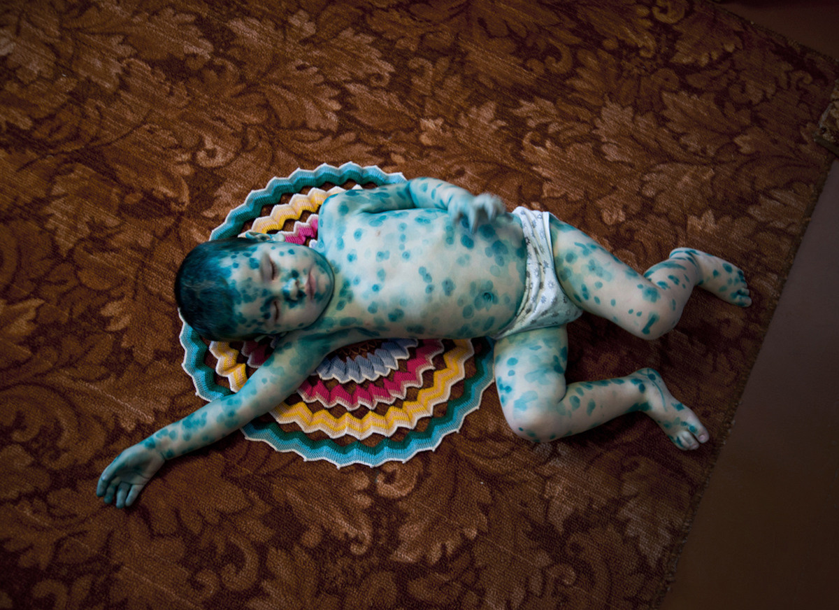 Урок «Гербарий» Пакет