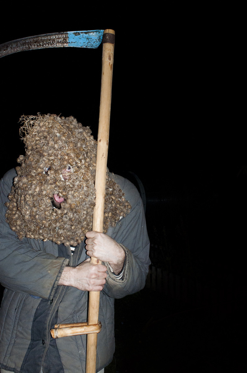 Урок «Гербарий» Пакет