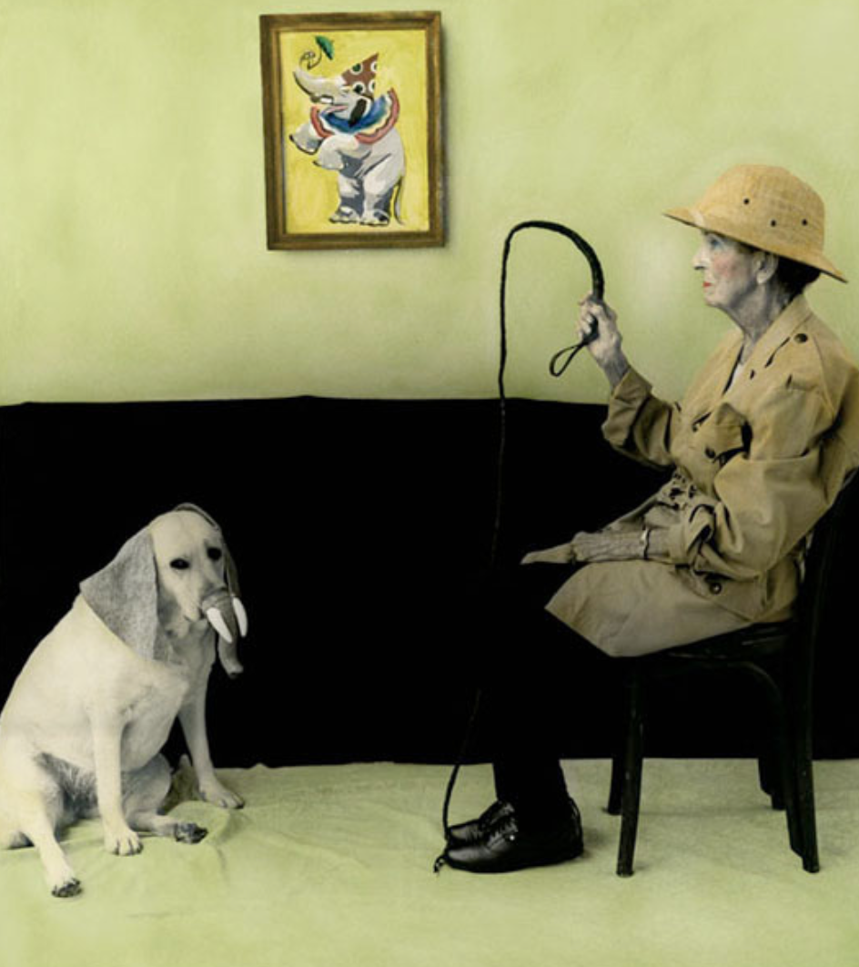 Урок «Гербарий» Пакет