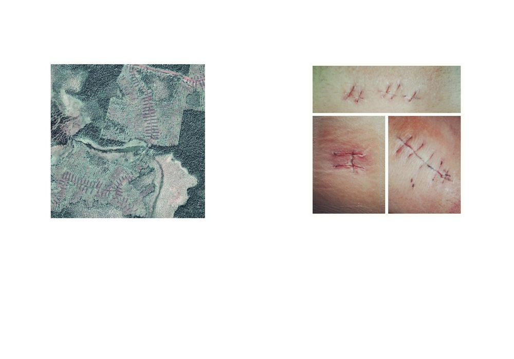 Урок «Гербарий» Пакет