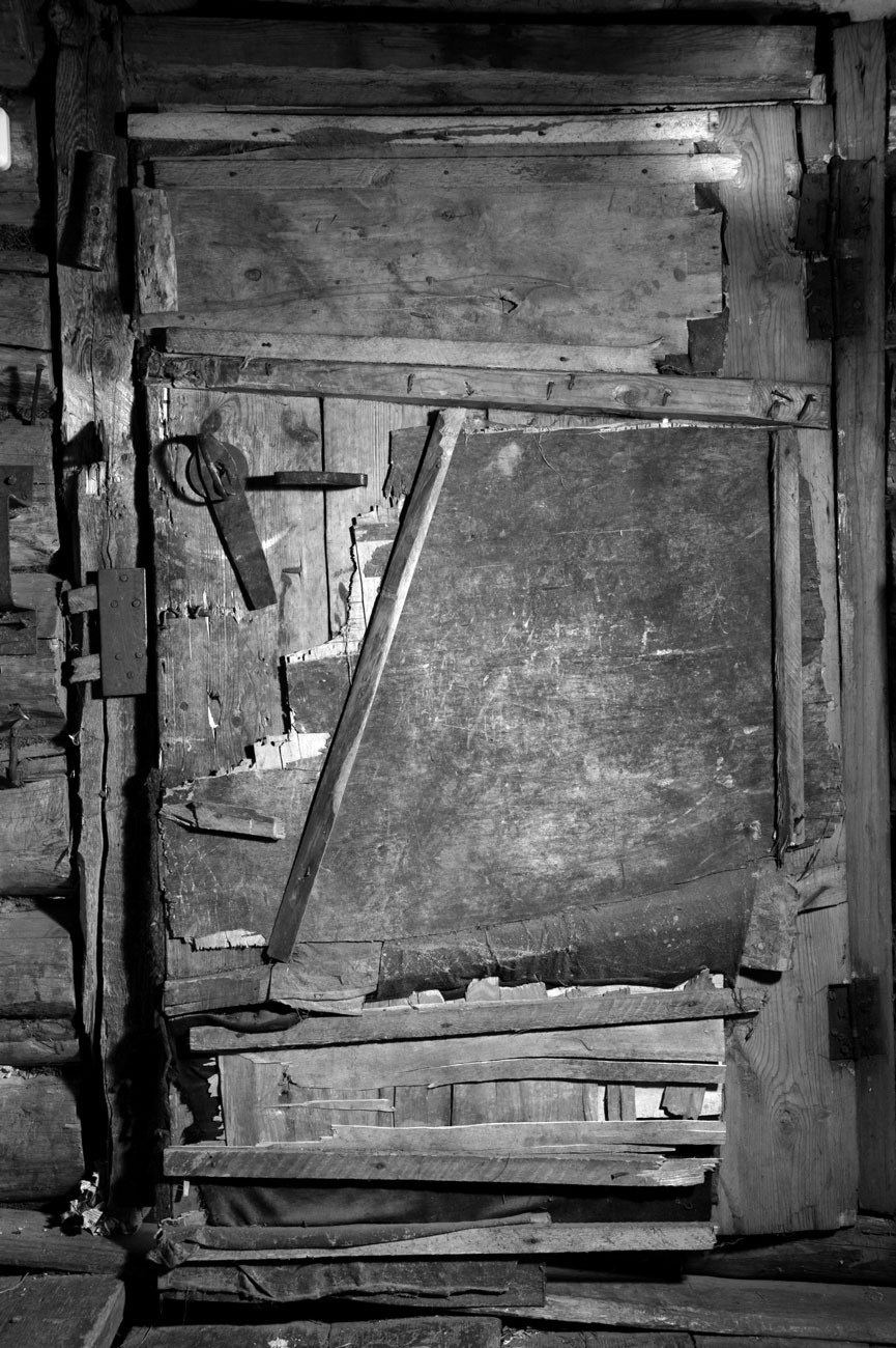 Урок «Гербарий» Пакет