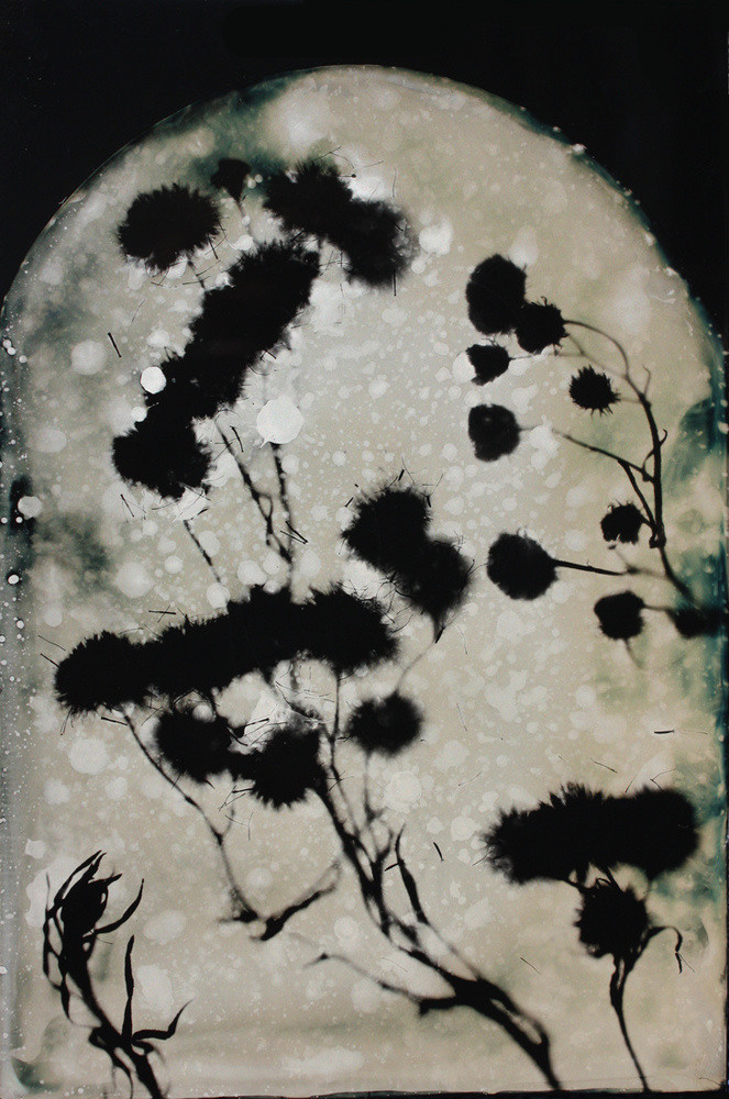 Урок «Гербарий» Пакет