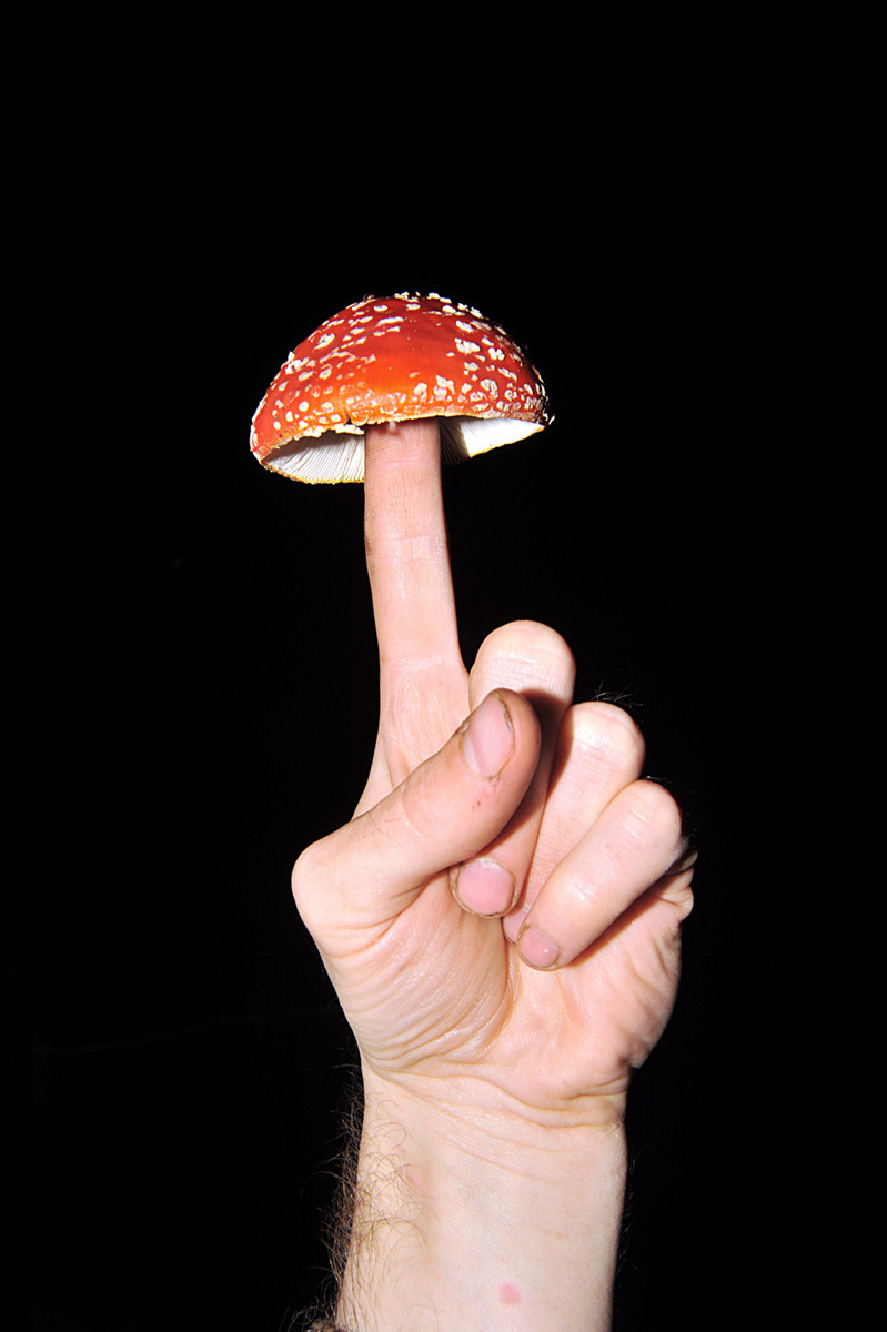 Урок «Гербарий» Пакет