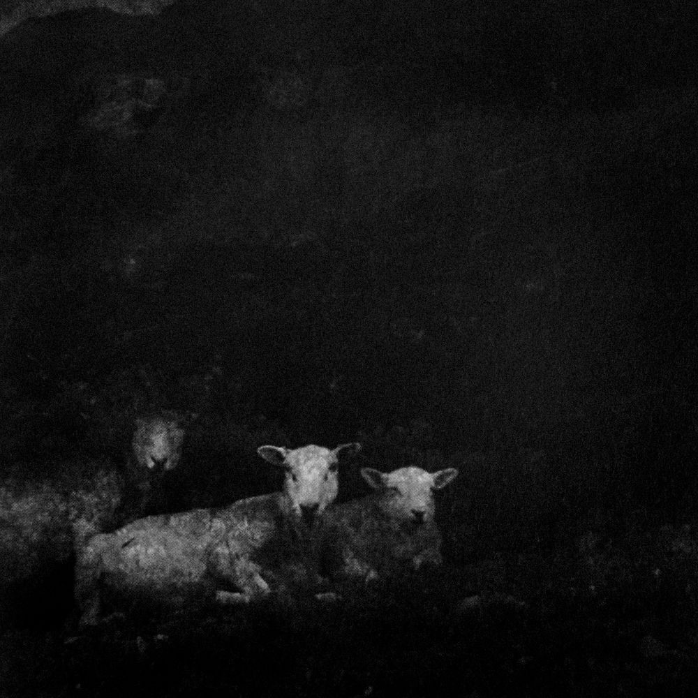 Урок «Гербарий» Пакет