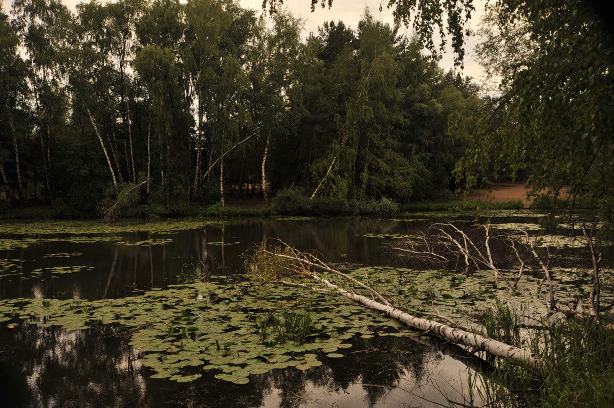 Урок «Гербарий» Пакет