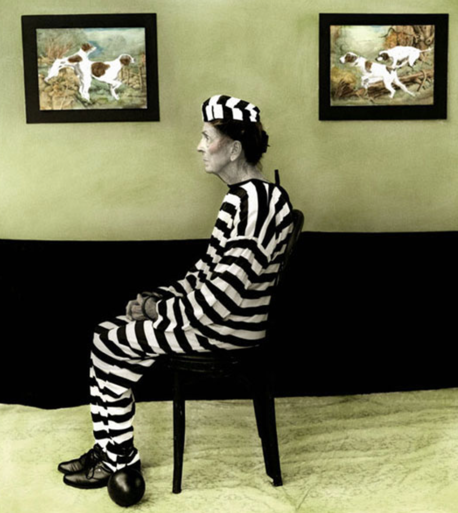 Урок «Гербарий» Пакет