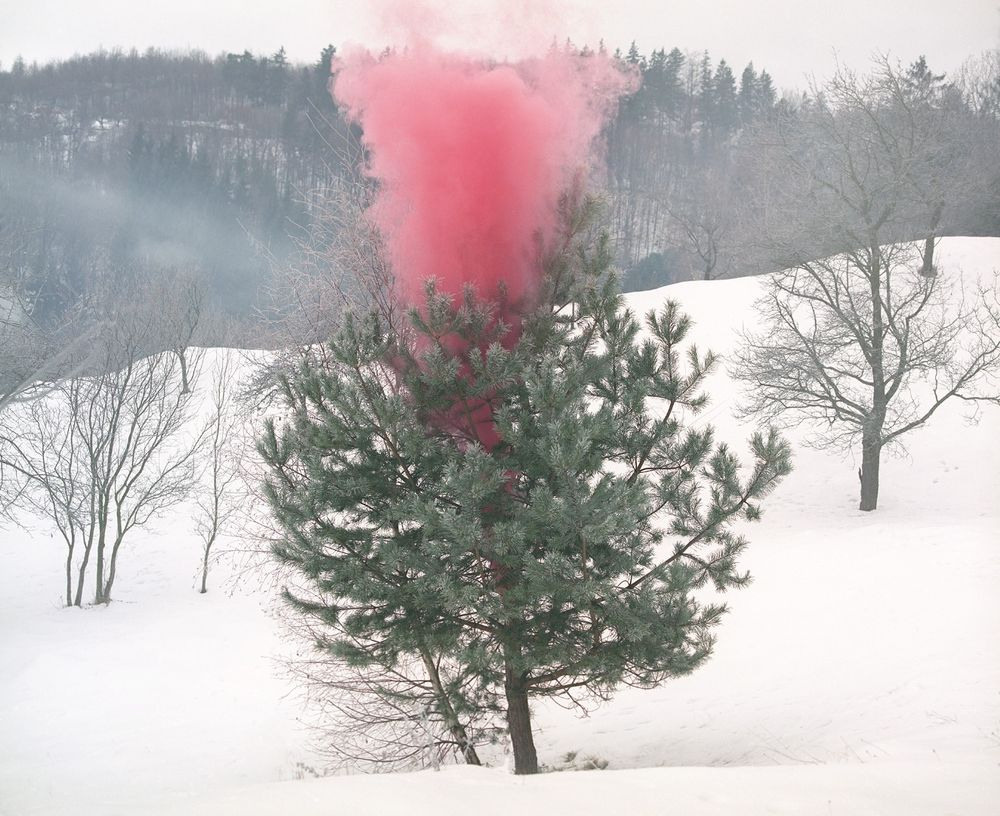 Урок «Гербарий» Пакет