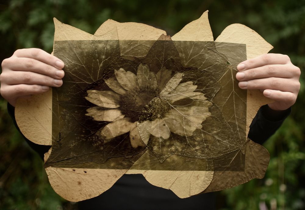 Урок «Гербарий» Пакет