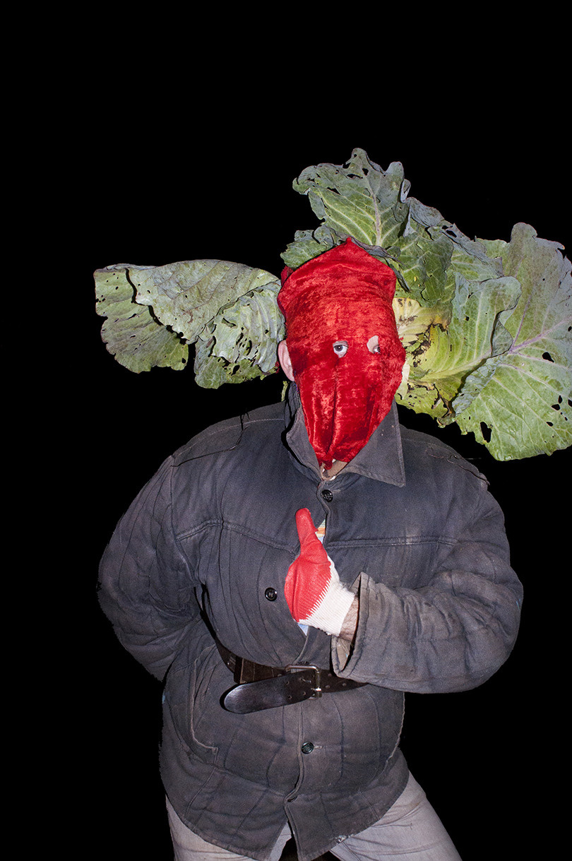 Урок «Гербарий» Пакет