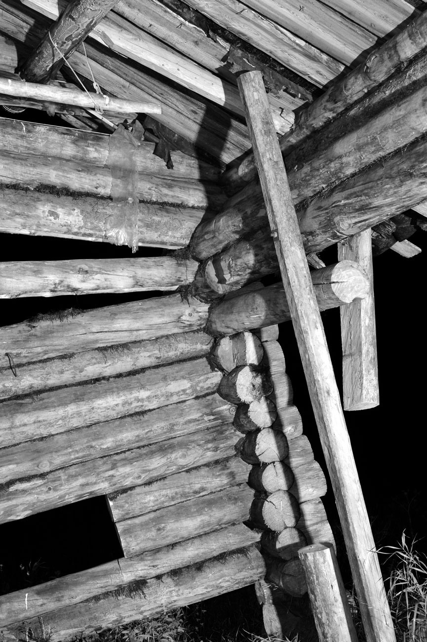 Урок «Гербарий» Пакет