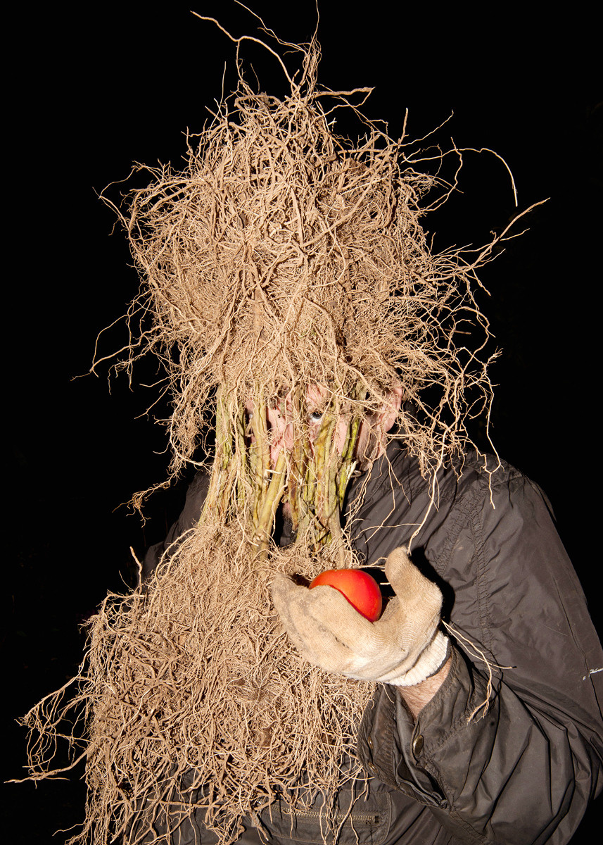 Урок «Гербарий» Пакет