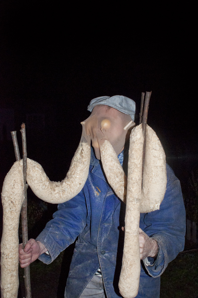 Урок «Гербарий» Пакет