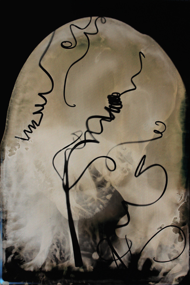 Урок «Гербарий» Пакет