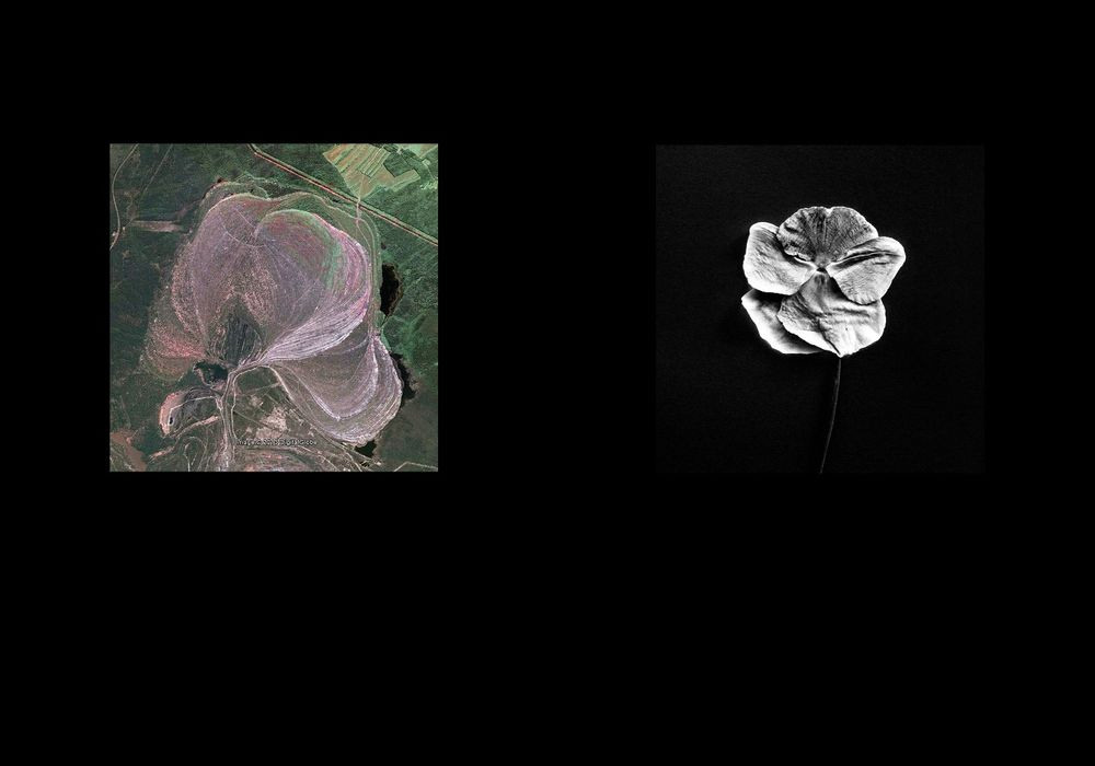 Урок «Гербарий» Пакет