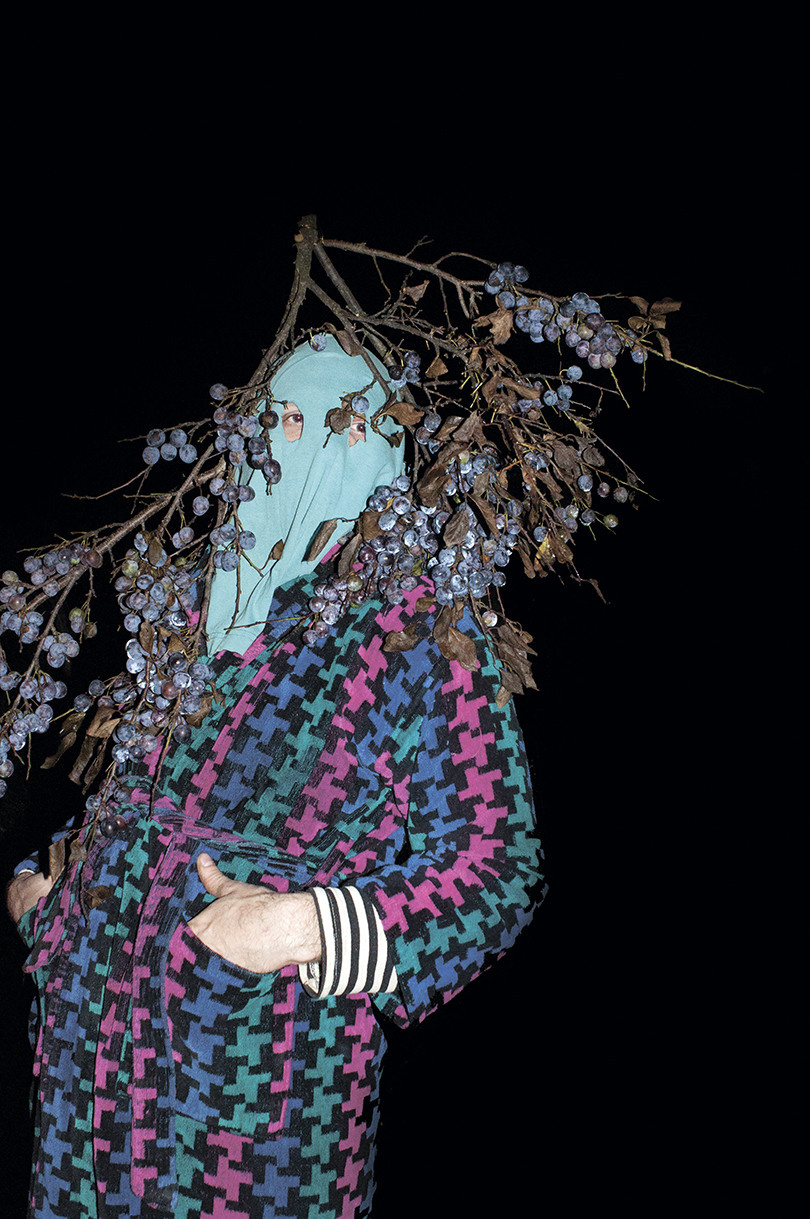 Урок «Гербарий» Пакет