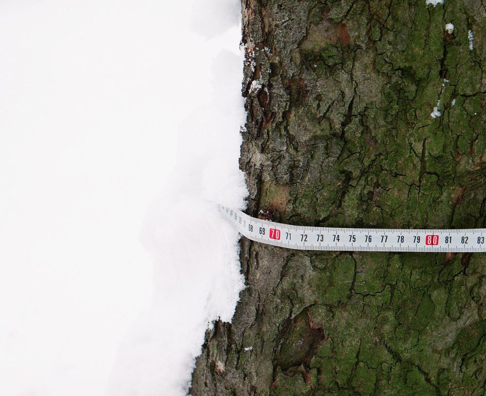 Урок «Гербарий» Пакет