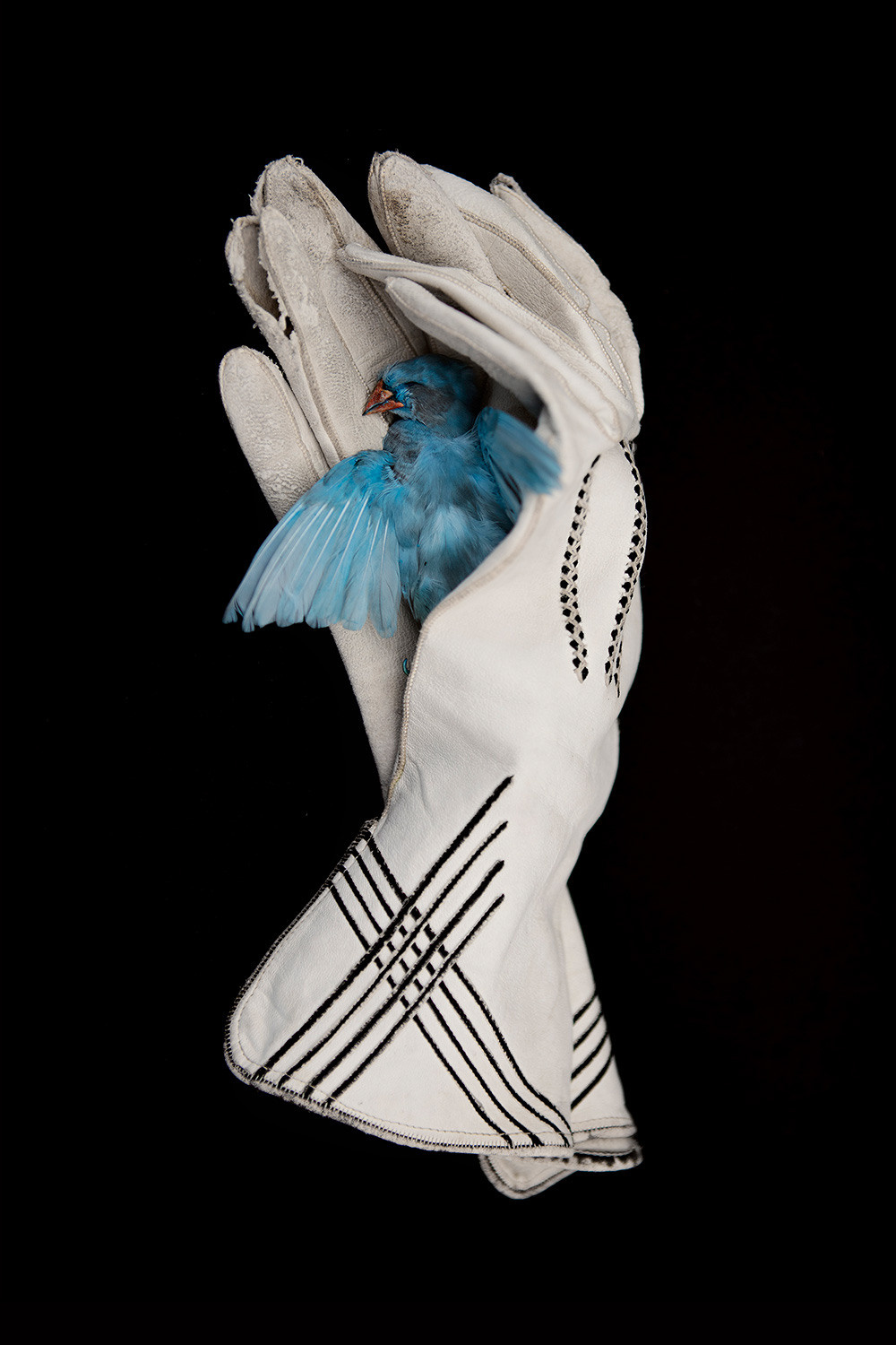 Урок «Гербарий» Пакет