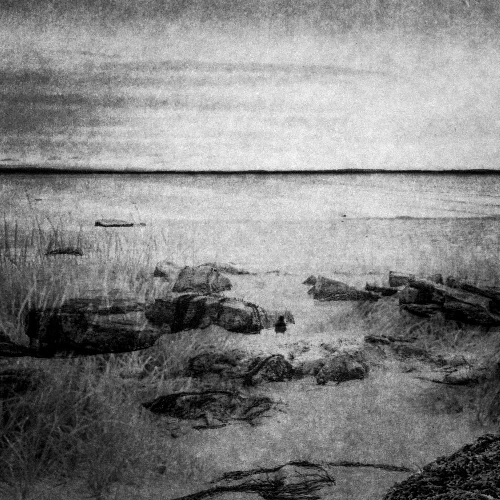 Урок «Гербарий» Пакет