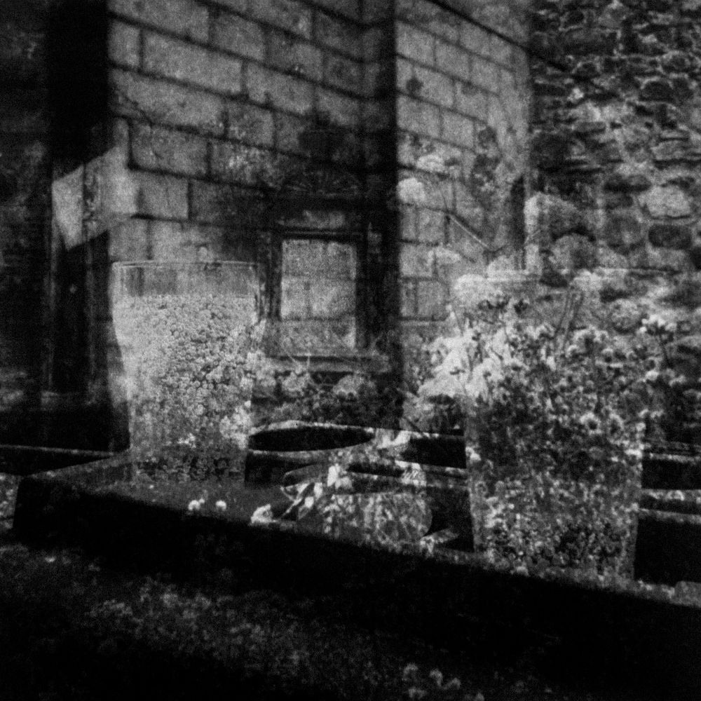 Урок «Гербарий» Пакет