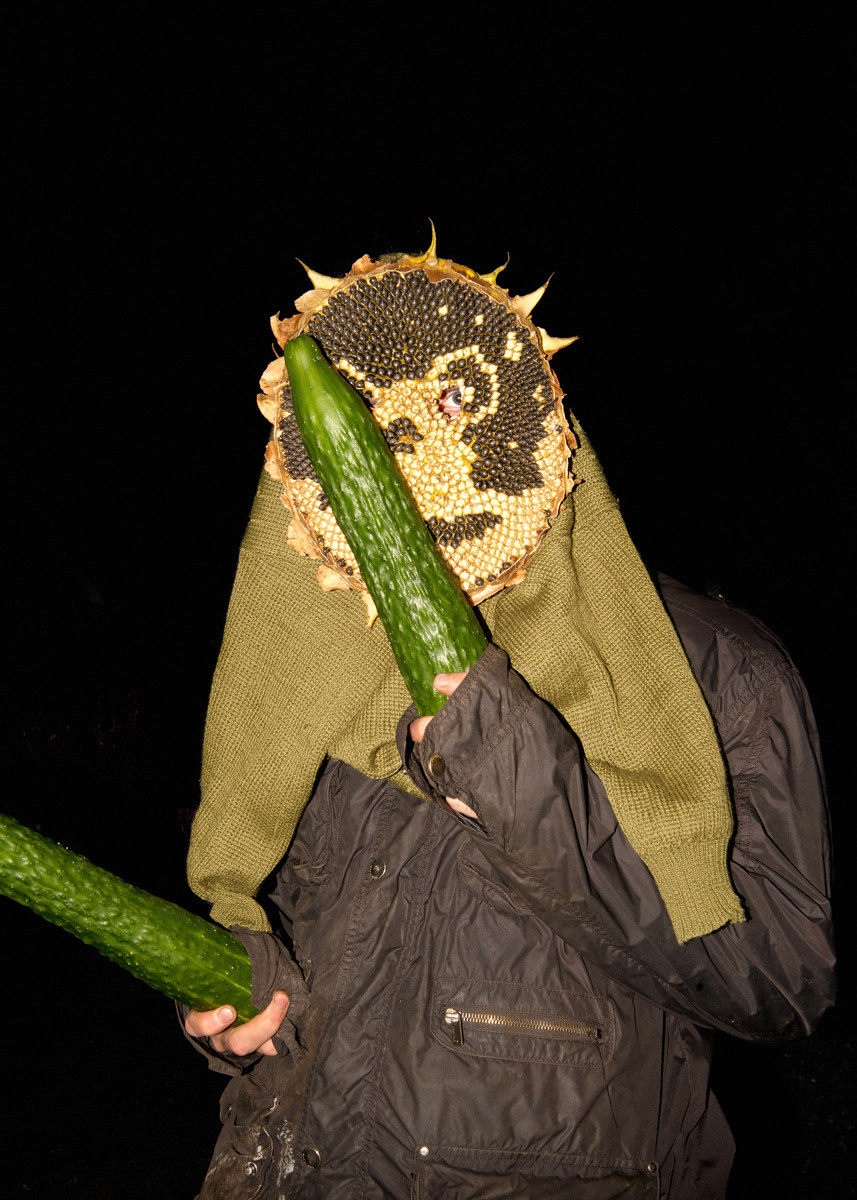 Урок «Гербарий» Пакет