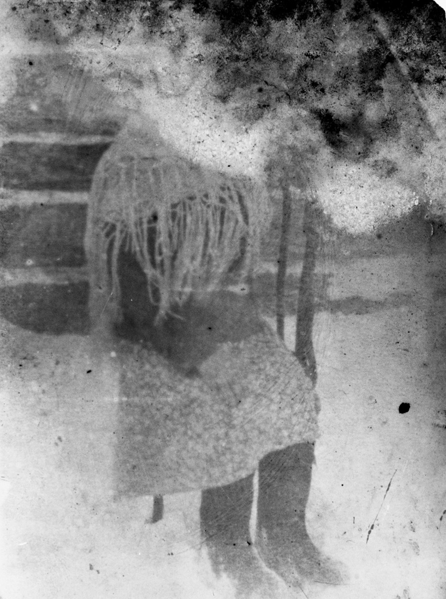 Урок «Гербарий» Пакет