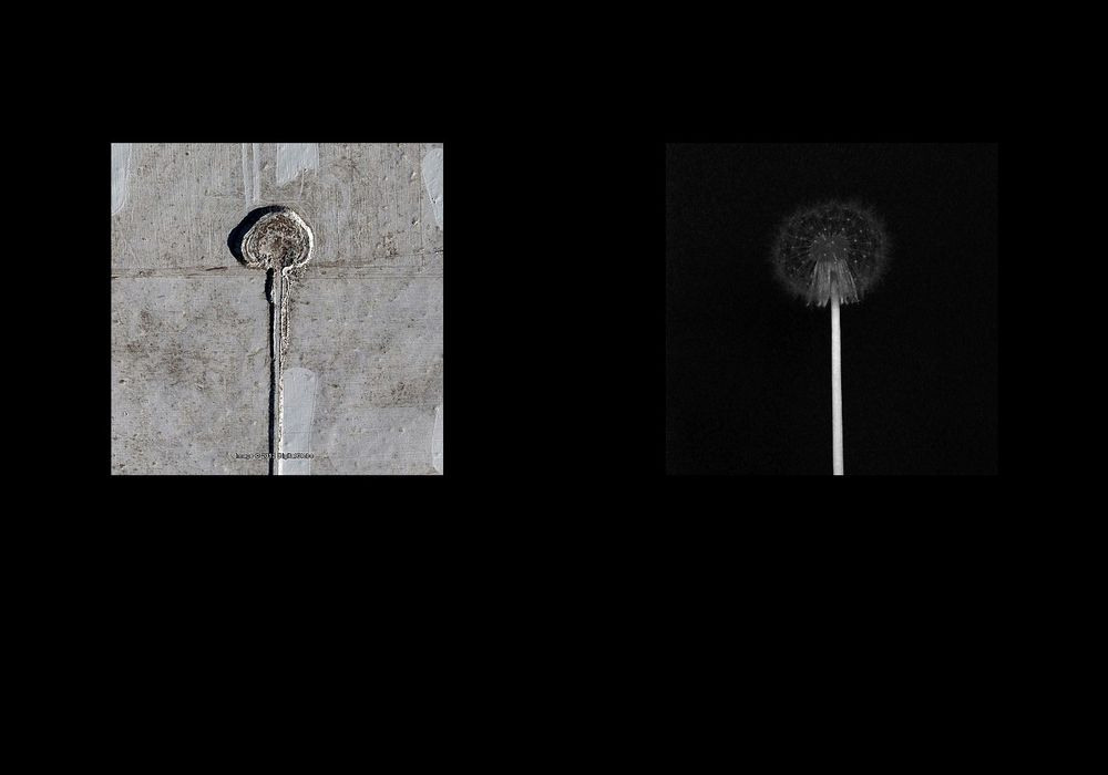 Урок «Гербарий» Пакет