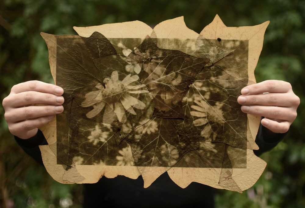 Урок «Гербарий» Пакет