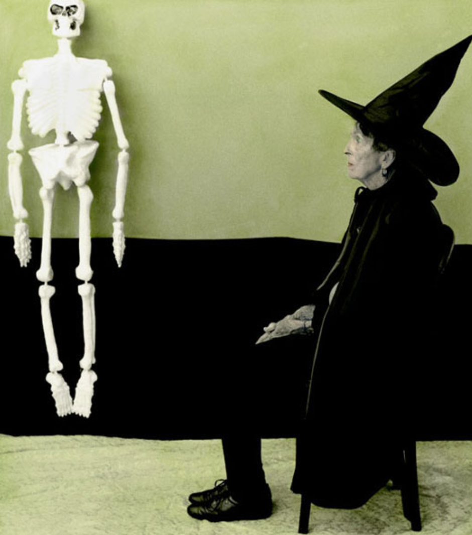 Урок «Гербарий» Пакет