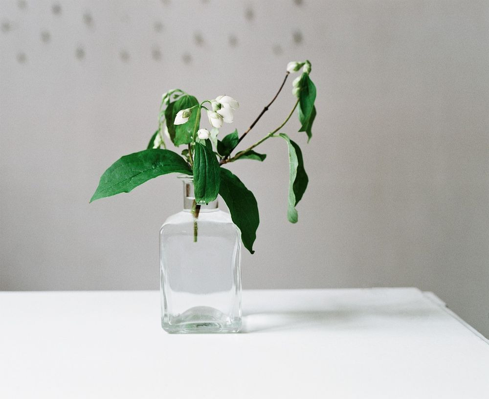 Урок «Гербарий» Пакет