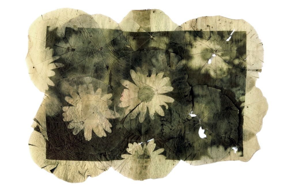 Урок «Гербарий» Пакет