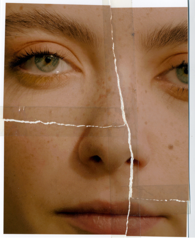 Урок «Гербарий» Пакет