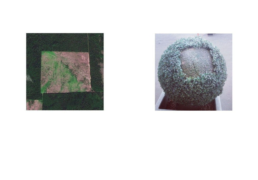 Урок «Гербарий» Пакет