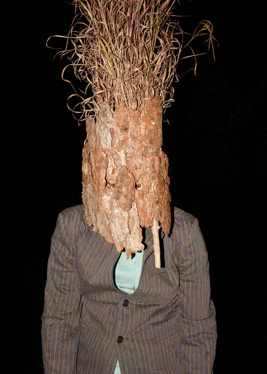 Урок «Гербарий» Пакет