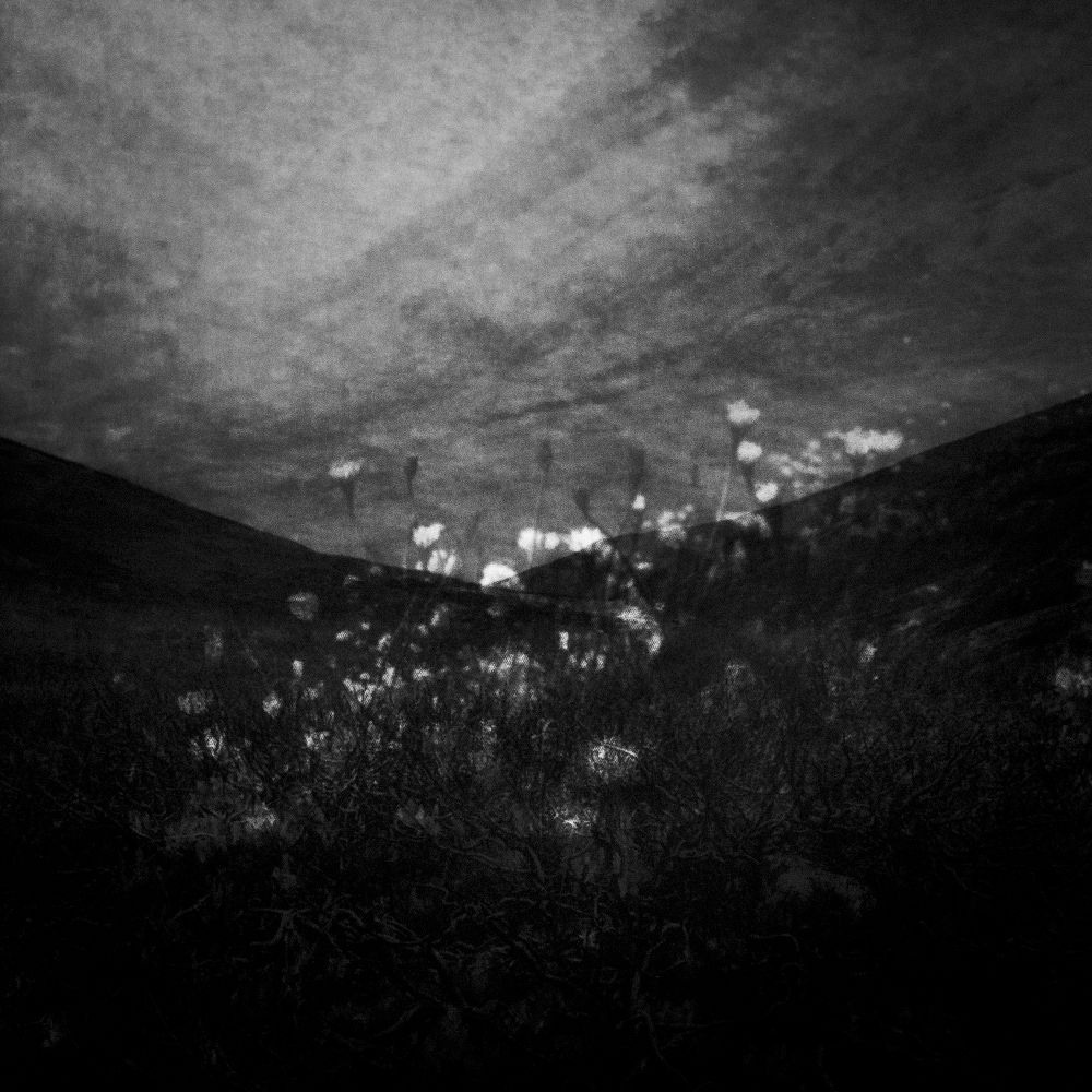 Урок «Гербарий» Пакет