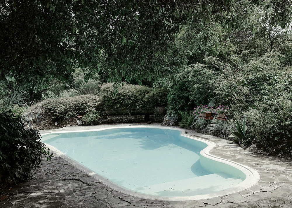 Урок «Гербарий» Пакет