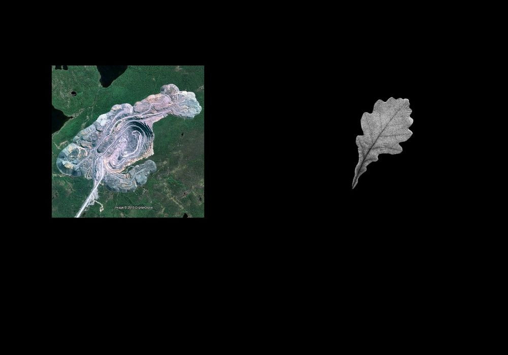 Урок «Гербарий» Пакет