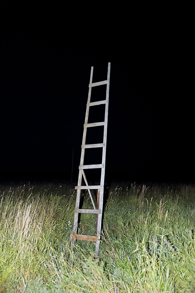 Урок «Гербарий» Пакет